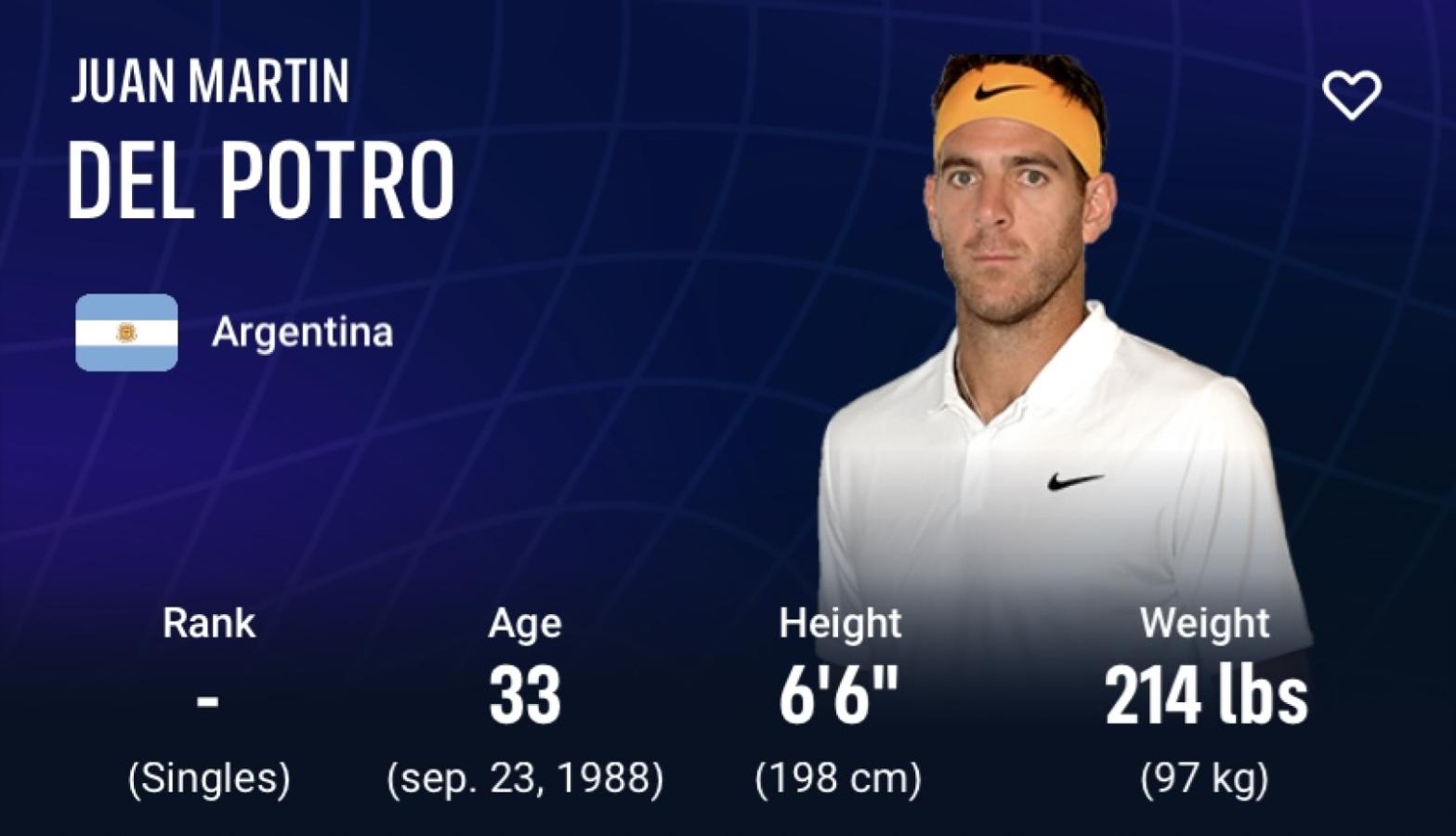 Imagen Juan Martín Del Potro, afuera del ranking ATP.